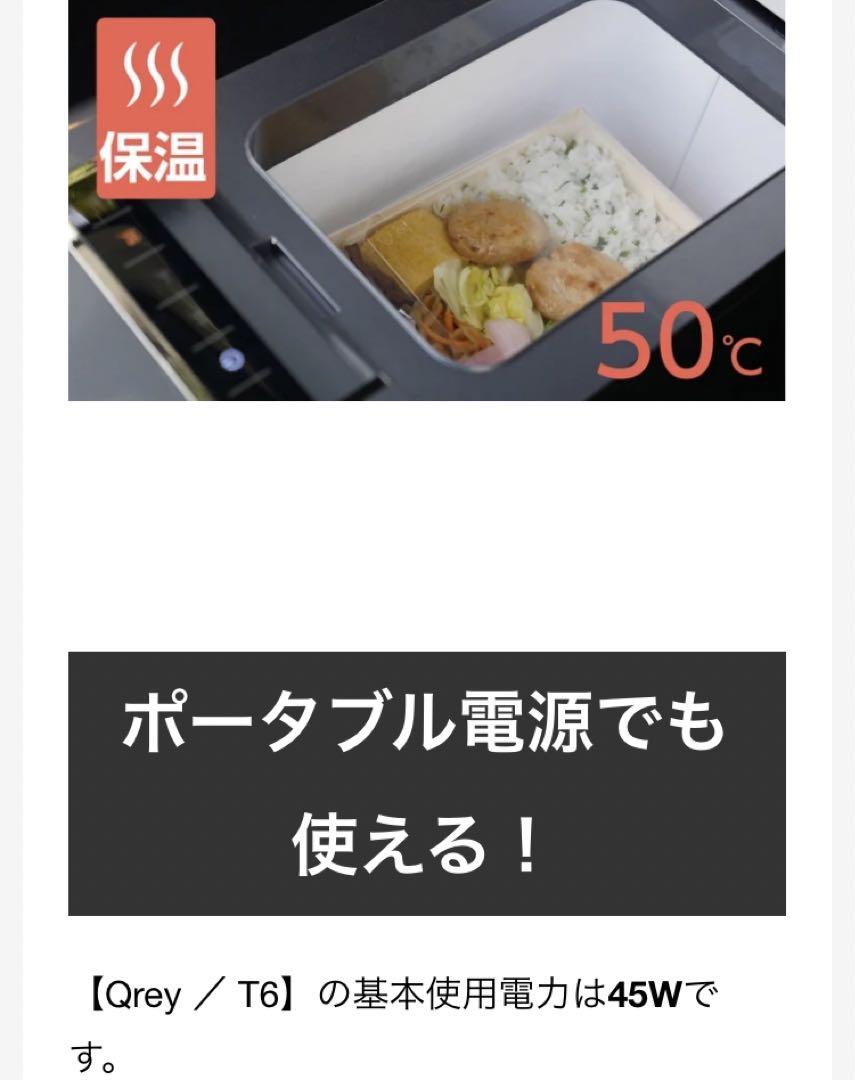 最終値下げ 車でも使えるポータブル 冷温庫 冷凍も可