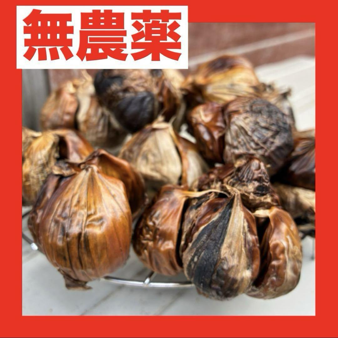 ②無農薬黒にんにく♦️令和7年産☆福地ホワイト六片☆バラシ