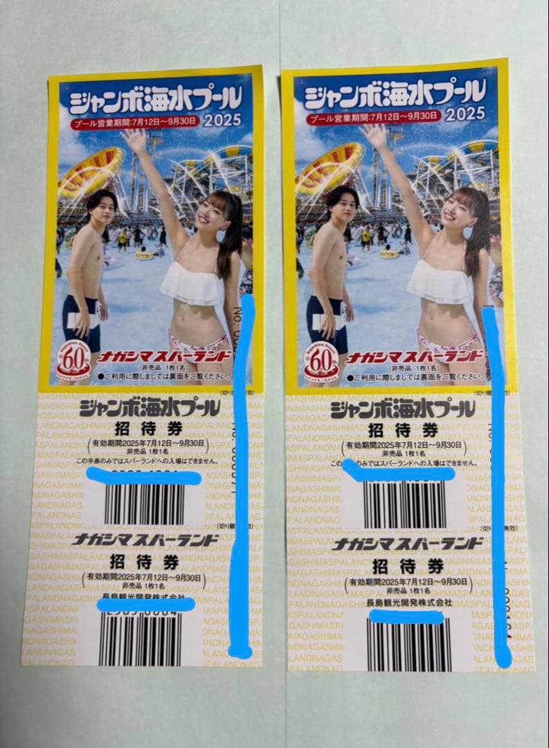 ナガシマスパーランド　ジャンボ海水プール 招待券 2枚セット