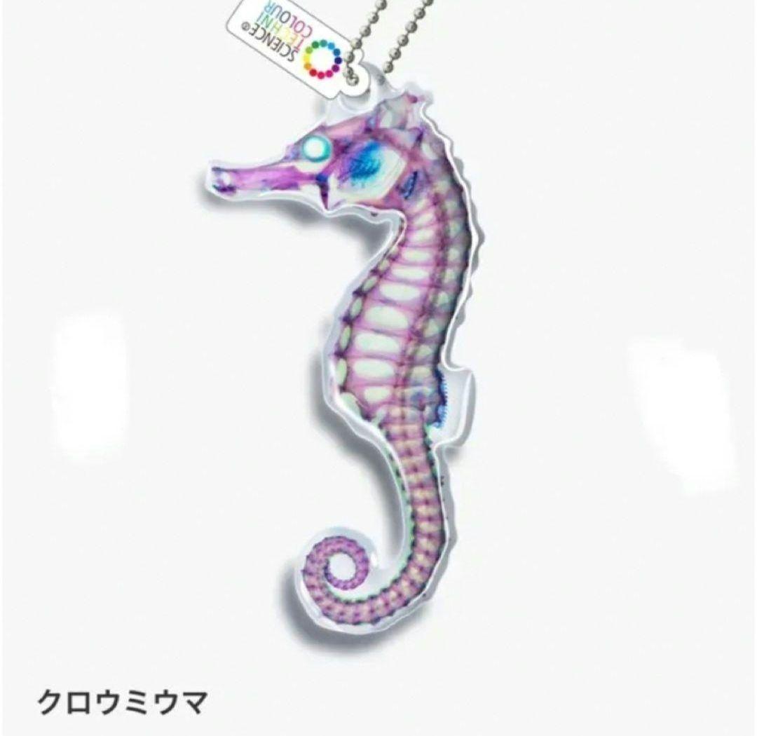 透明骨格標本 ガチャ アクリルキーホルダー 2個 - メルカリ