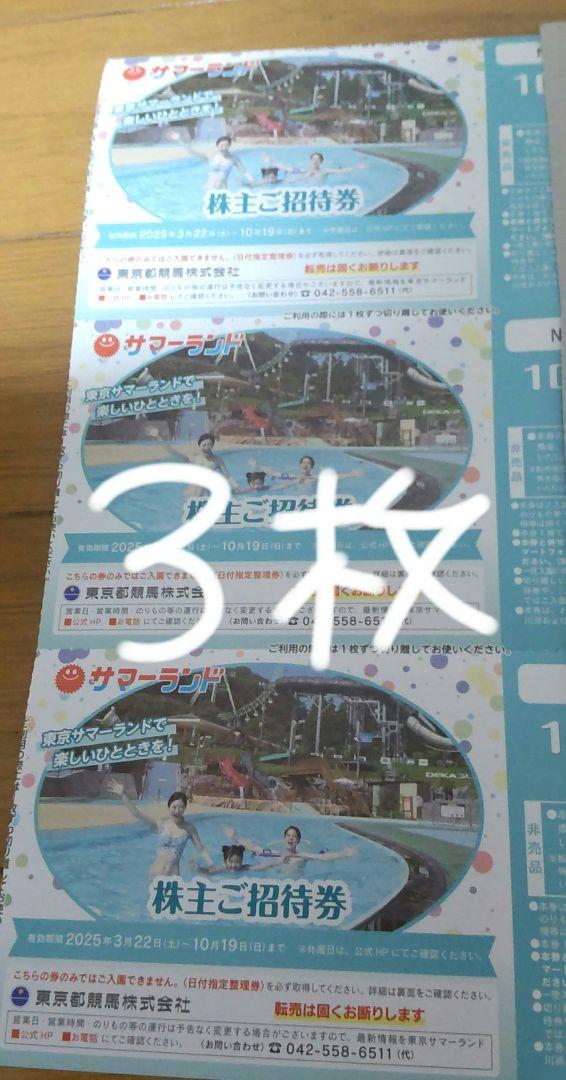 3枚　夏季利用可　サマーランド　１デイパス　株主ご招待券