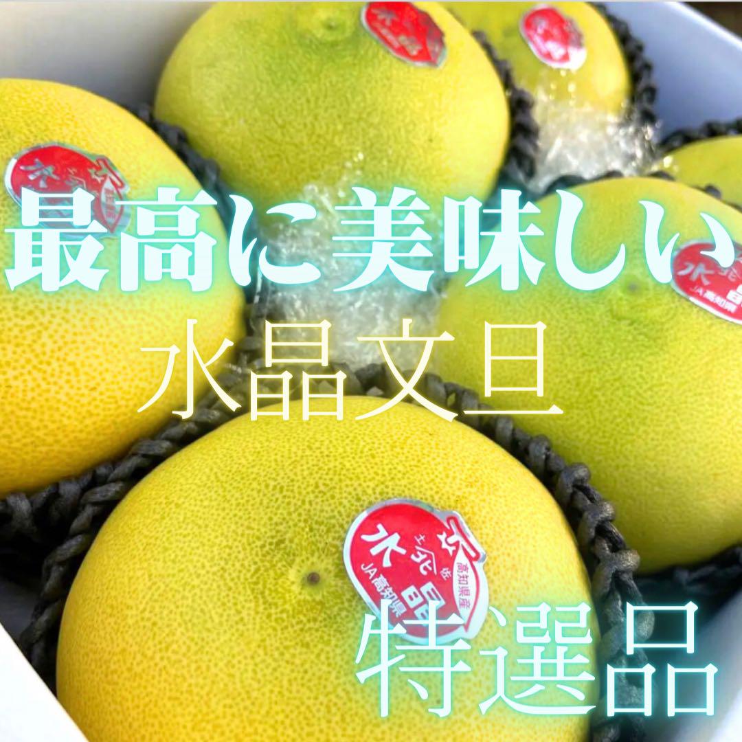 最高に美味しい特選水晶文旦　11
