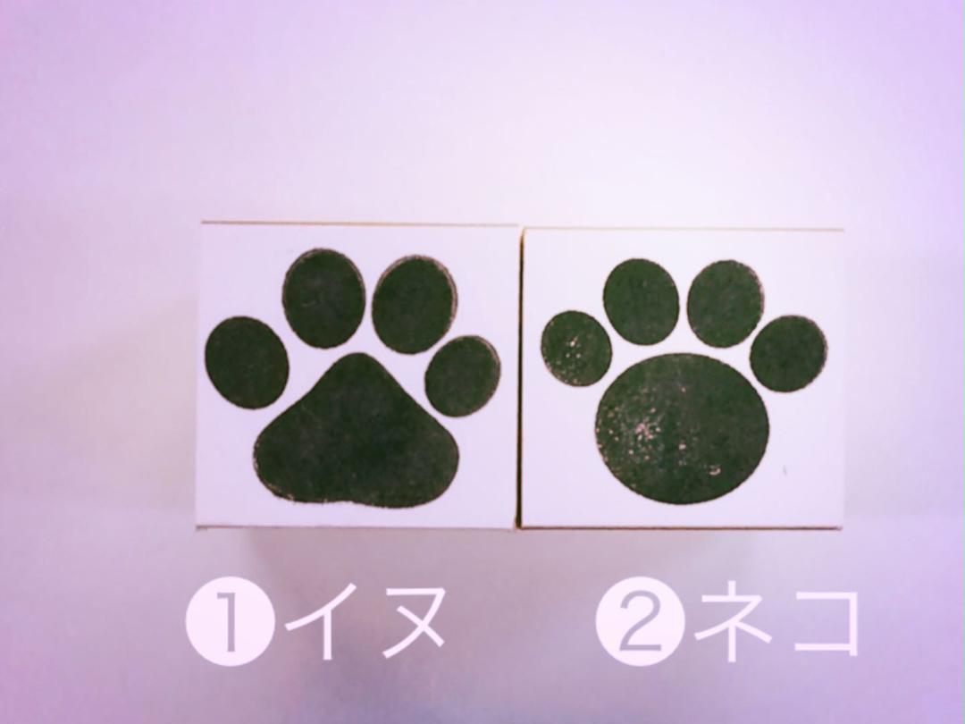 メルカリ 肉球お名前スタンプ わんこなハンコ ニャンコなはんこ インテリア 住まい 小物 980 中古や未使用のフリマ メルカリ 肉球お名前スタンプ わんこなハンコ ニャンコなはんこ インテリア 住まい 小物 980 中古や未使用のフリマ