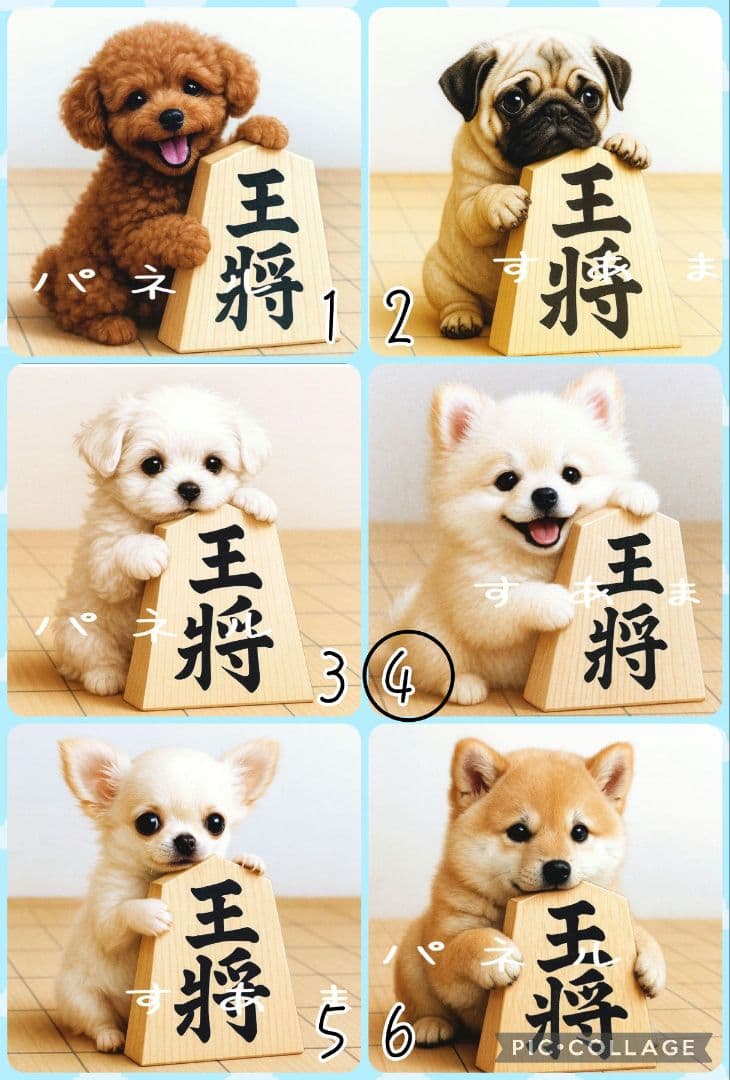 【9月】Misaki様専用