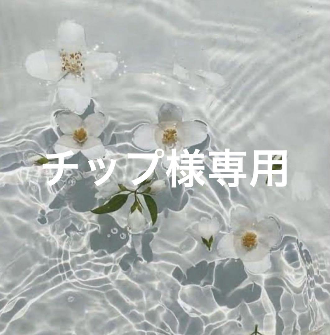 チップ 様専用