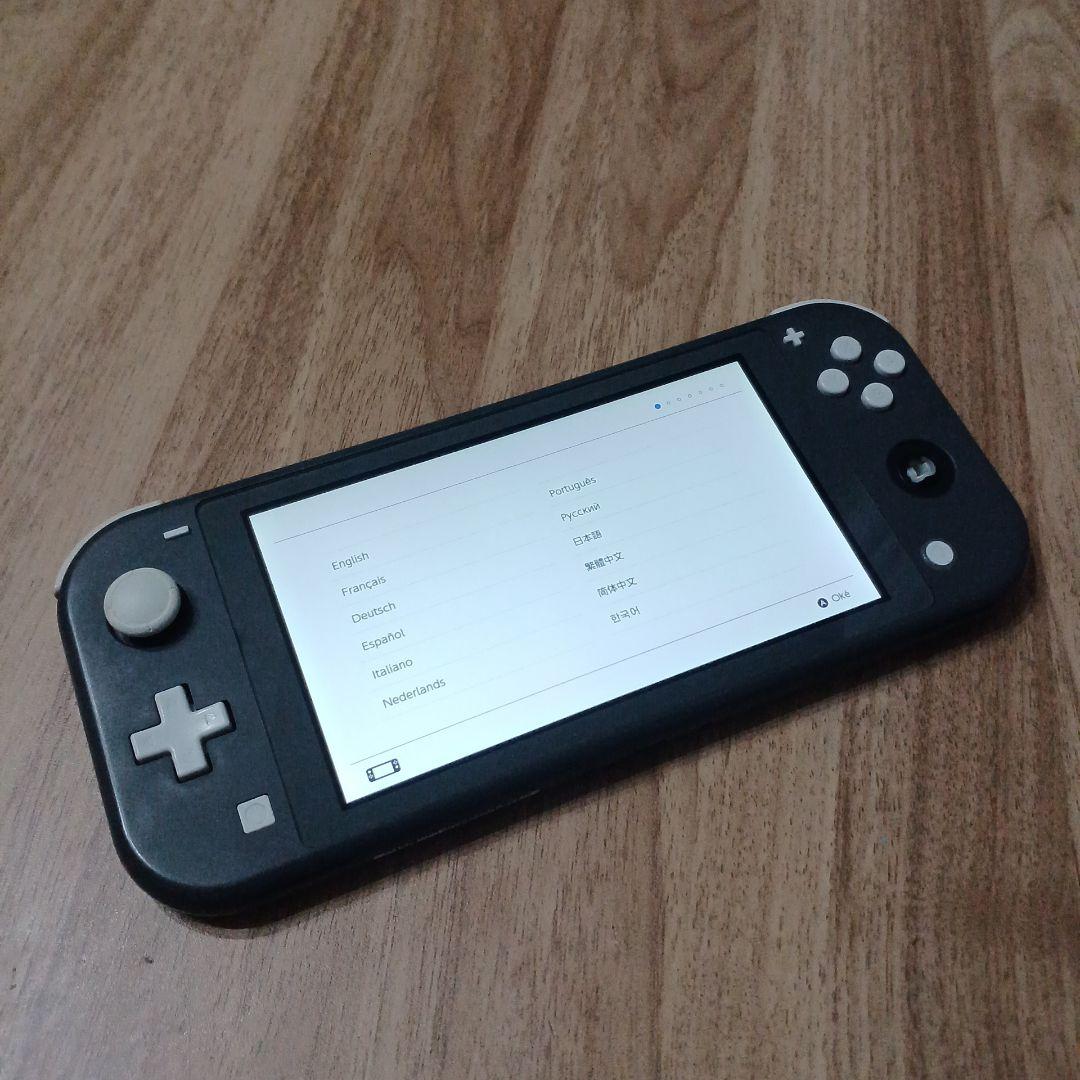 R*u様 Nintendo Switch Lite グレー 本体　ジャンク Nintendo Switch Lite グレー 本体 ジャンク - メルカリ