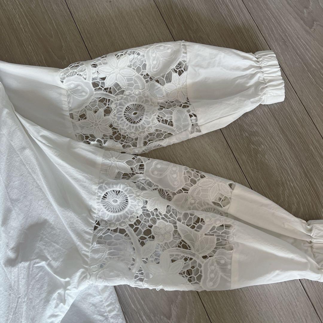 BEARDSLEY 袖レースシャツ