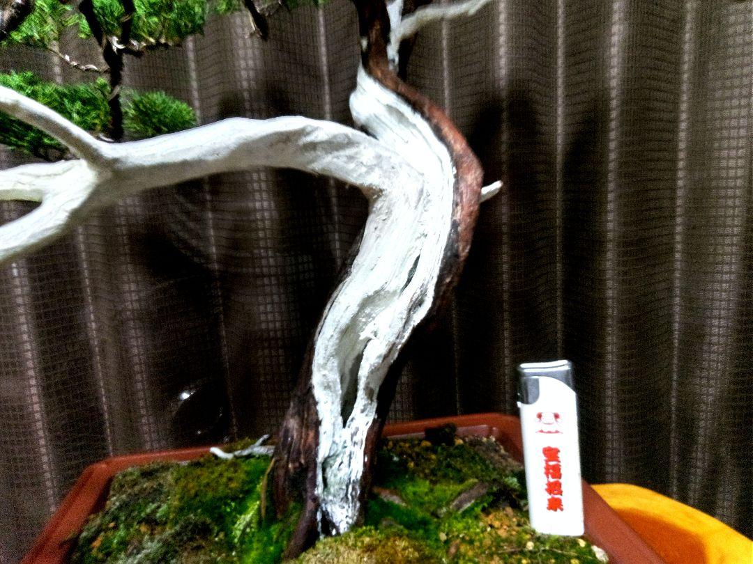 【山木…？　 真柏盆栽】　　　　　　　　⭕改作済み…お買得‼️
