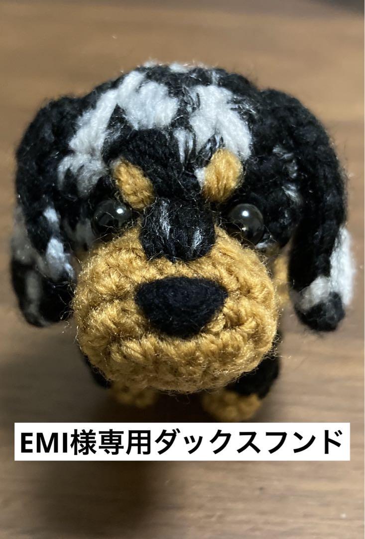 EMI様専用ダックスフンド