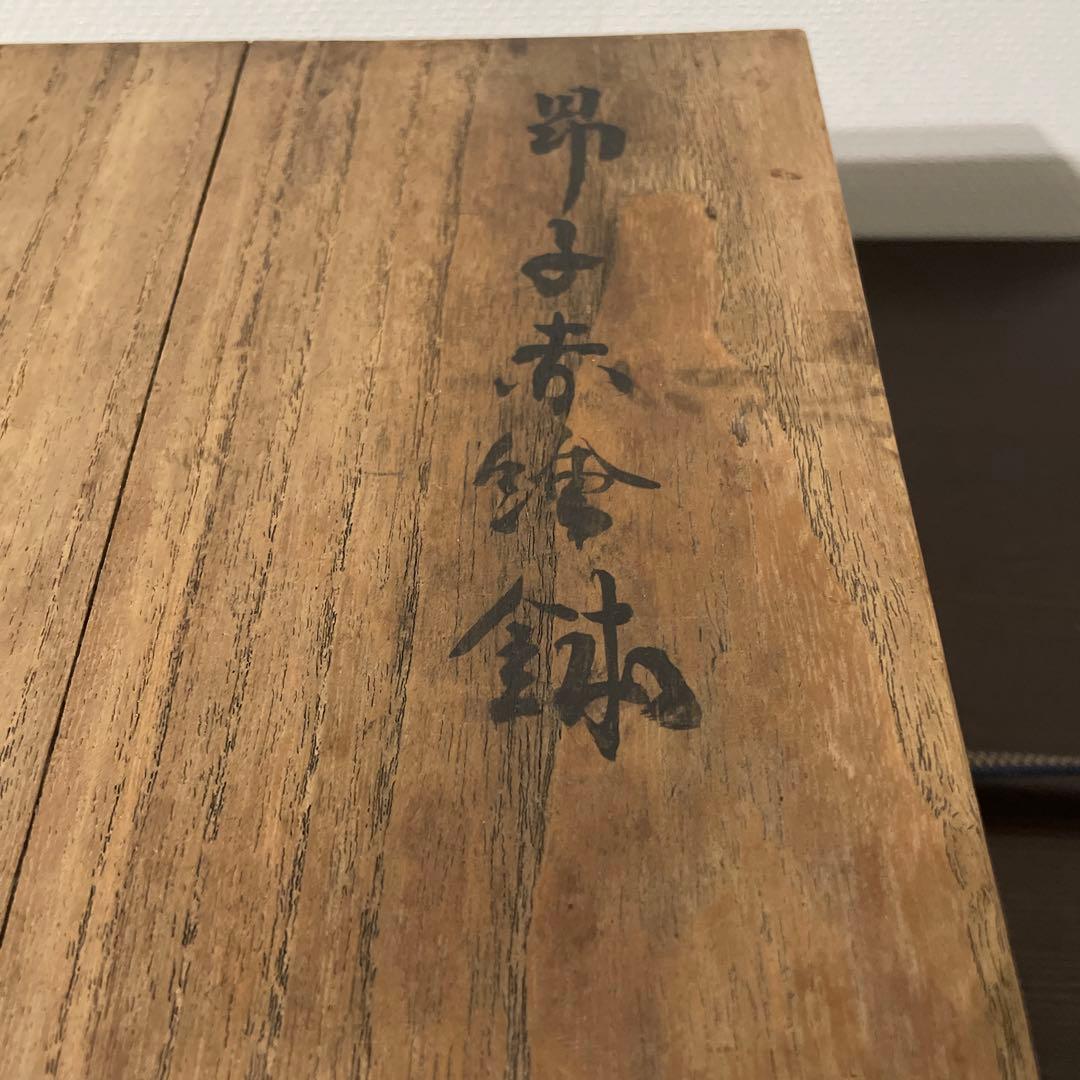 呉洲赤絵獅子毬紋鉢 昴子赤絵鉢 福建省漳州窯系磁器