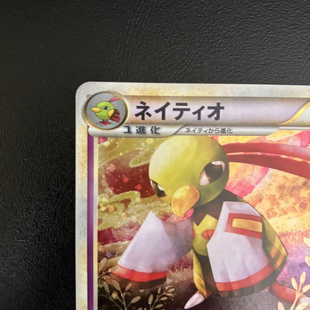 ネイティオ svEM 005/020 枠キラ | ポケモンカード専門店 Cobalt