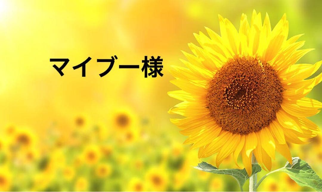 マイブー様様