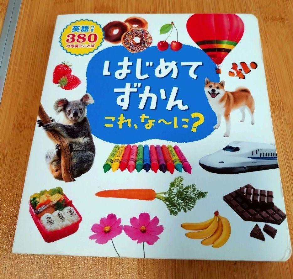 はじめてずかん これ、な〜に？