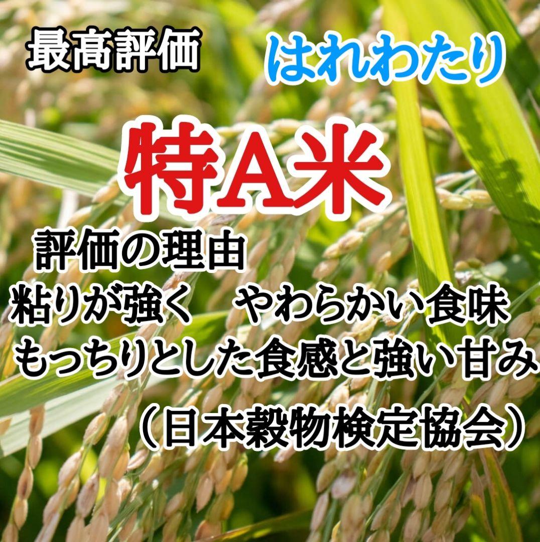 青森県産　最新品種　はれわたり 20キロ 5月中旬精米 お米白米10kg×2袋
