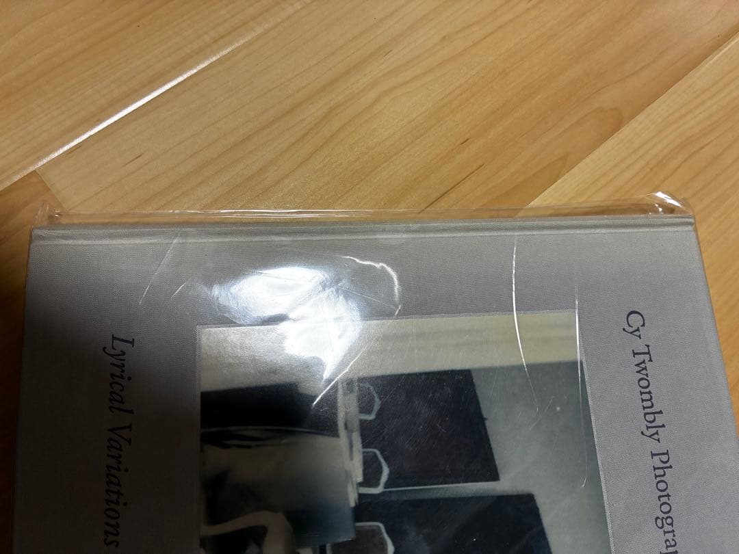 サイ・トゥオンブリーの写真 変奏のリリシズム Cy Twombly 美術館本 サイ・トゥオンブリーの写真 変奏のリリシズム Cy Twombly 美術館本