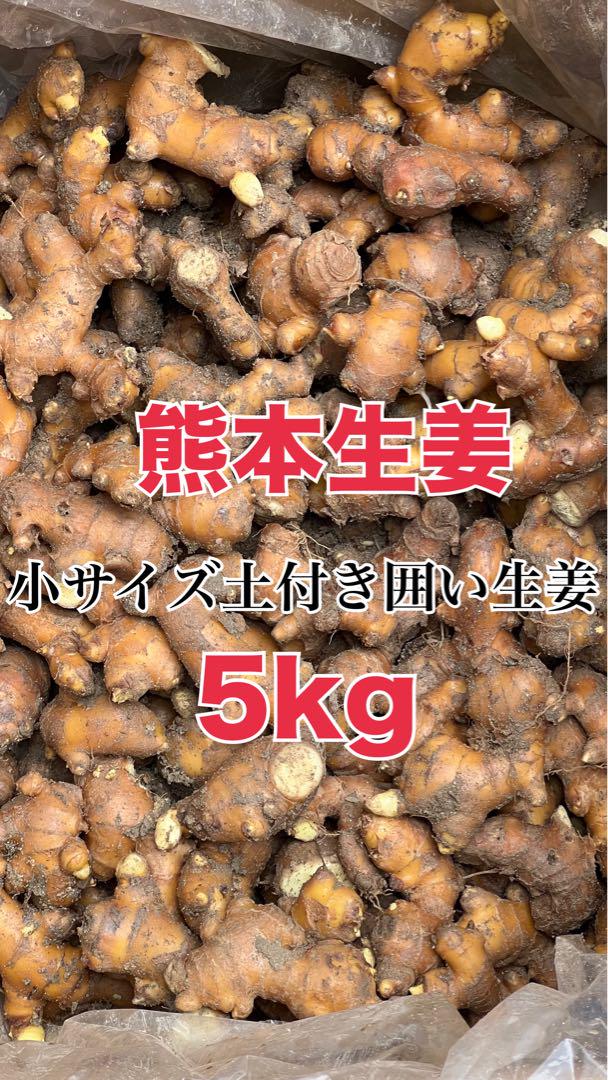消費税無し 熊本生姜小サイズ土付き囲い生姜 5kg メルカリ - 野菜