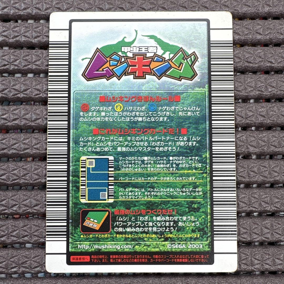 Amazon.co.jp: 【033-2004 ファースト拡張】ヒメカブト／甲虫