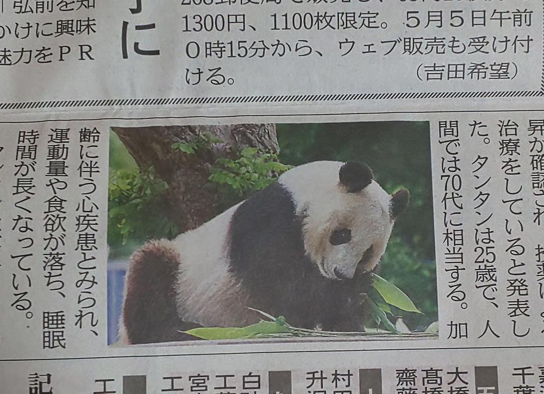 メルカリ 東奥日報 タンタン 旦旦 パンダ 神戸市立王子動物園 新聞記事 印刷物 300 中古や未使用のフリマ メルカリ 東奥日報 タンタン 旦旦 パンダ 神戸市立王子動物園 新聞記事 印刷物 300 中古や未使用のフリマ