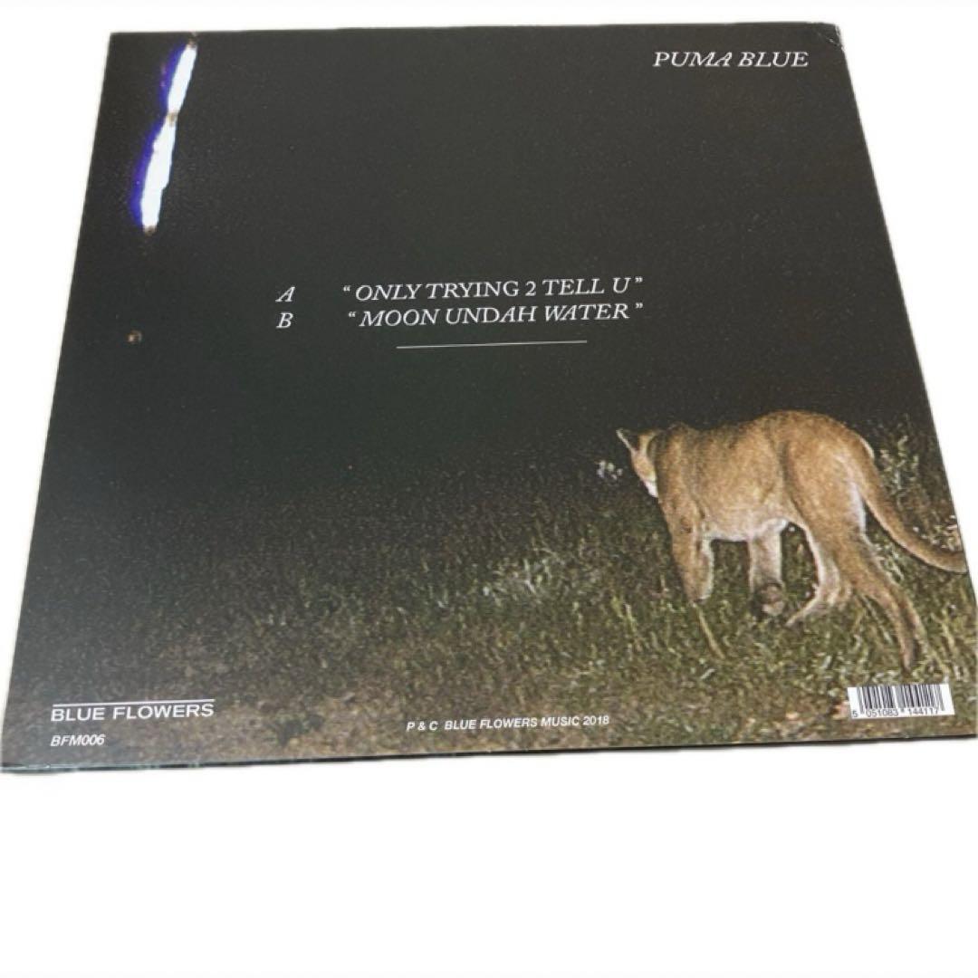 Puma Blue - Only Trying 2 Tell U レコード EP