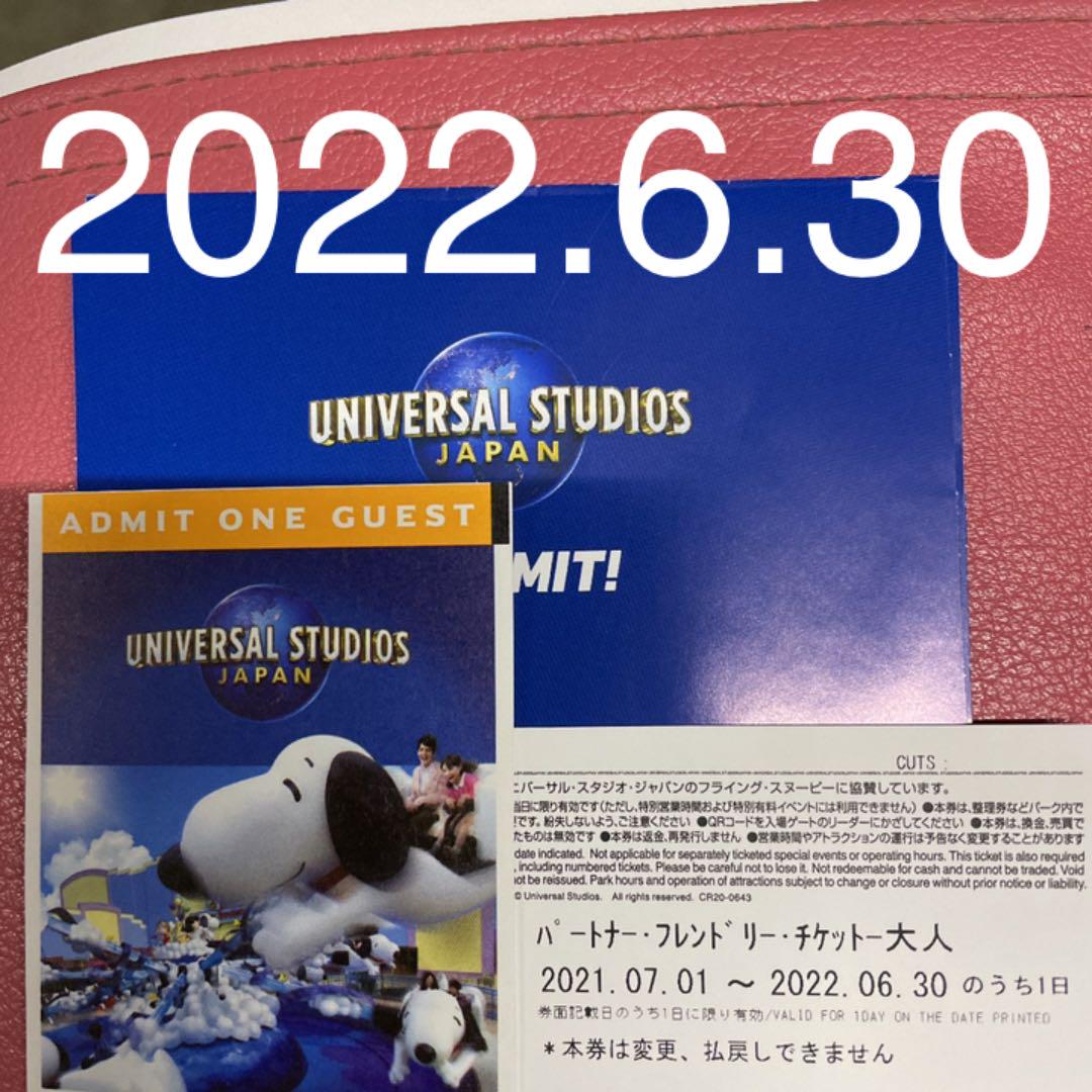 誕生日プレゼント Usjチケット 2枚 遊園地 テーマパーク