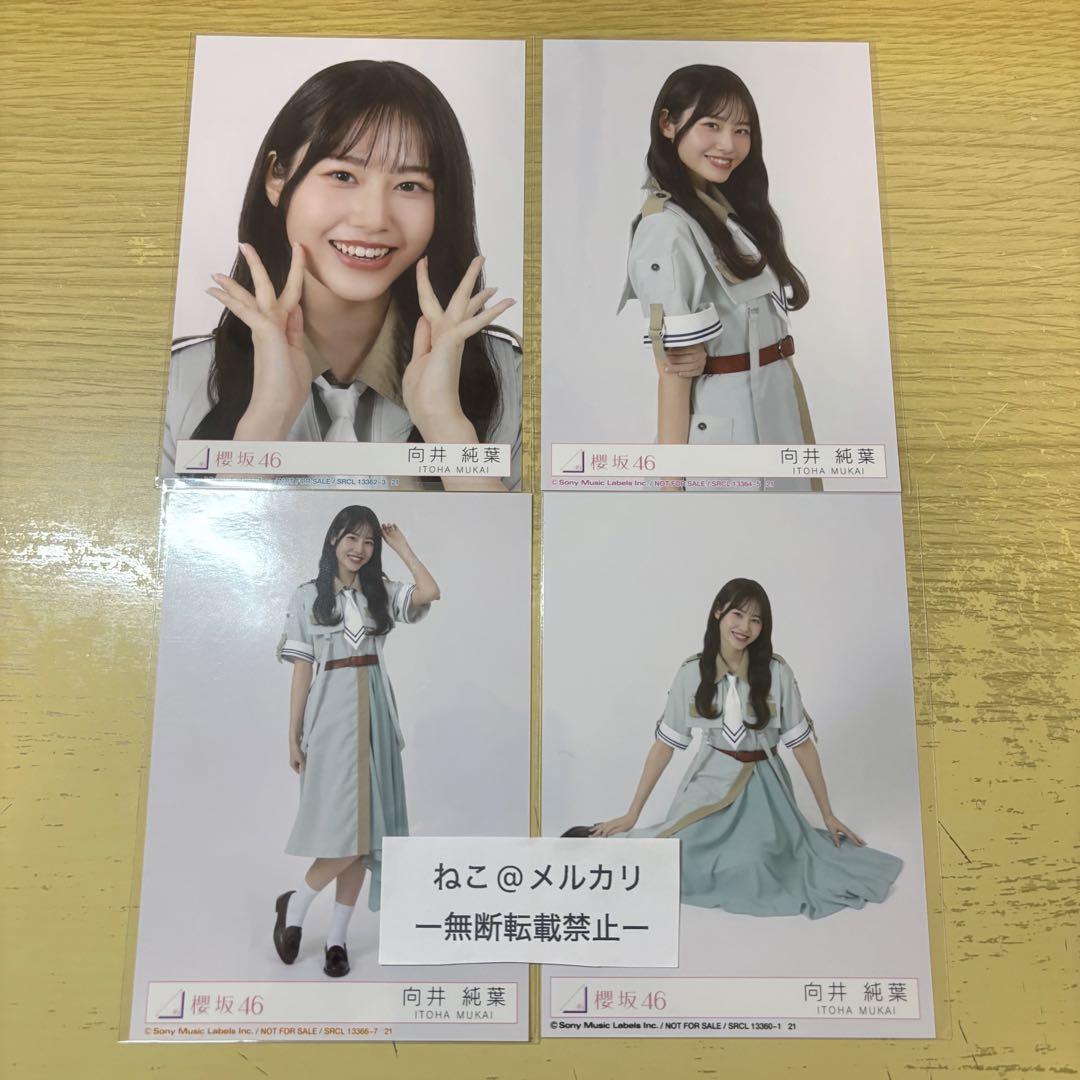 向井純葉 櫻坂46 Make or Break 封入 生写真 コンプ 2 - メルカリ