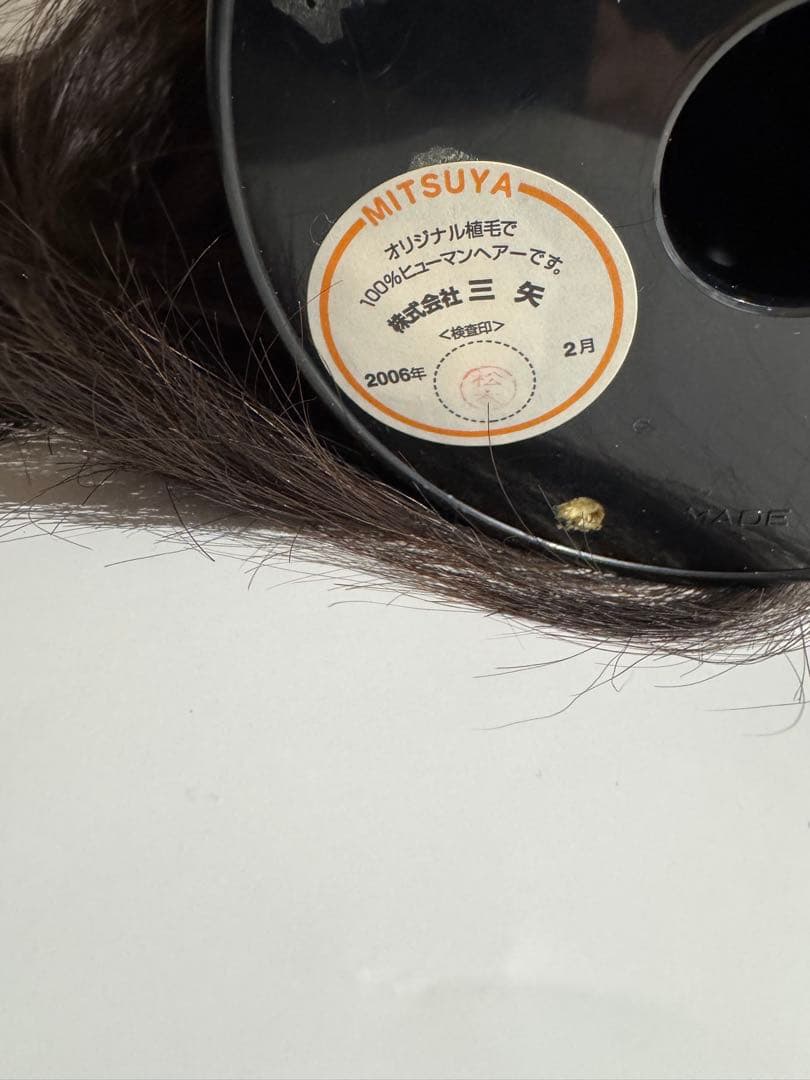 カットウィッグ　国家試験用　練習用