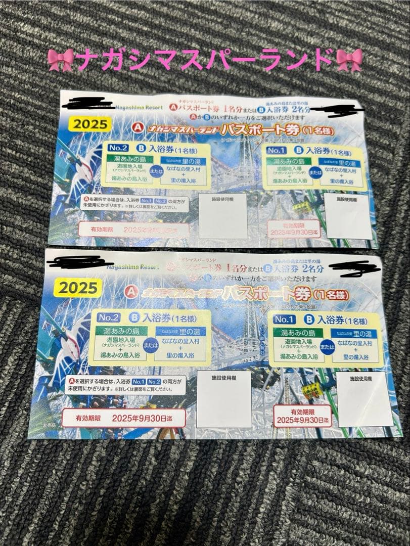 ナガシマスパーランド　パスポート券　2枚分