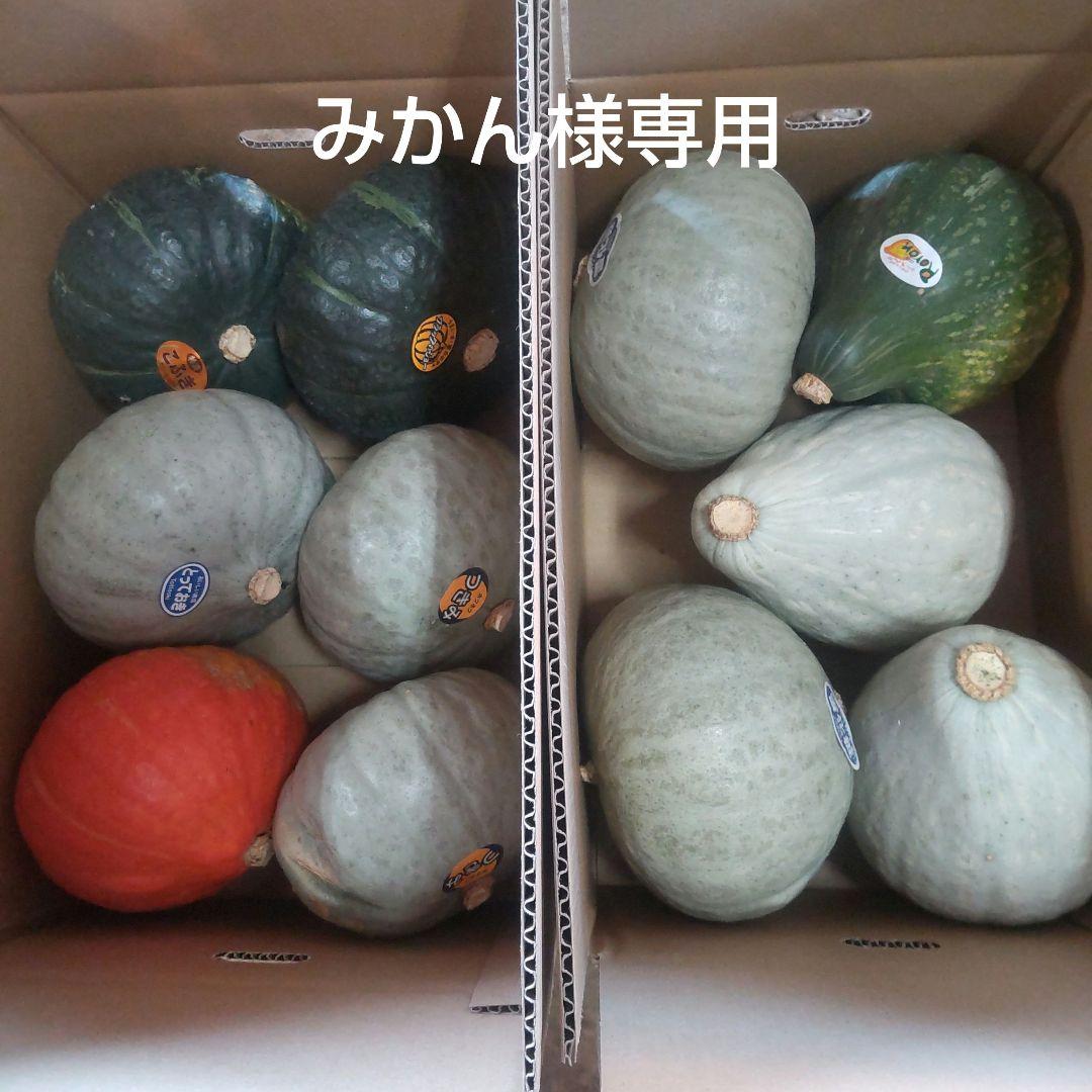 立目ぽんかん（低しょう系）家庭用兼ご贈答用・5kg・Lサイズ