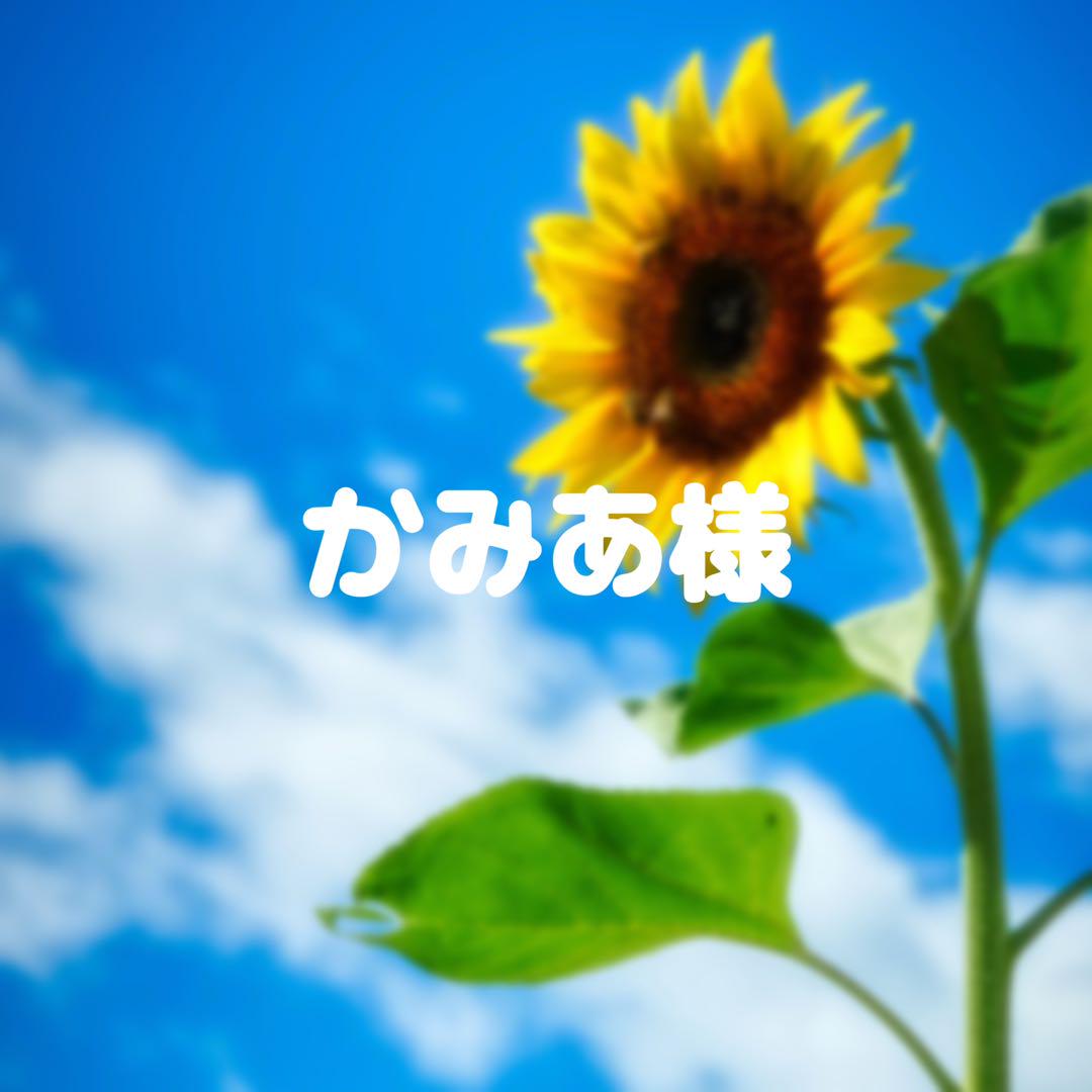 かみあ様