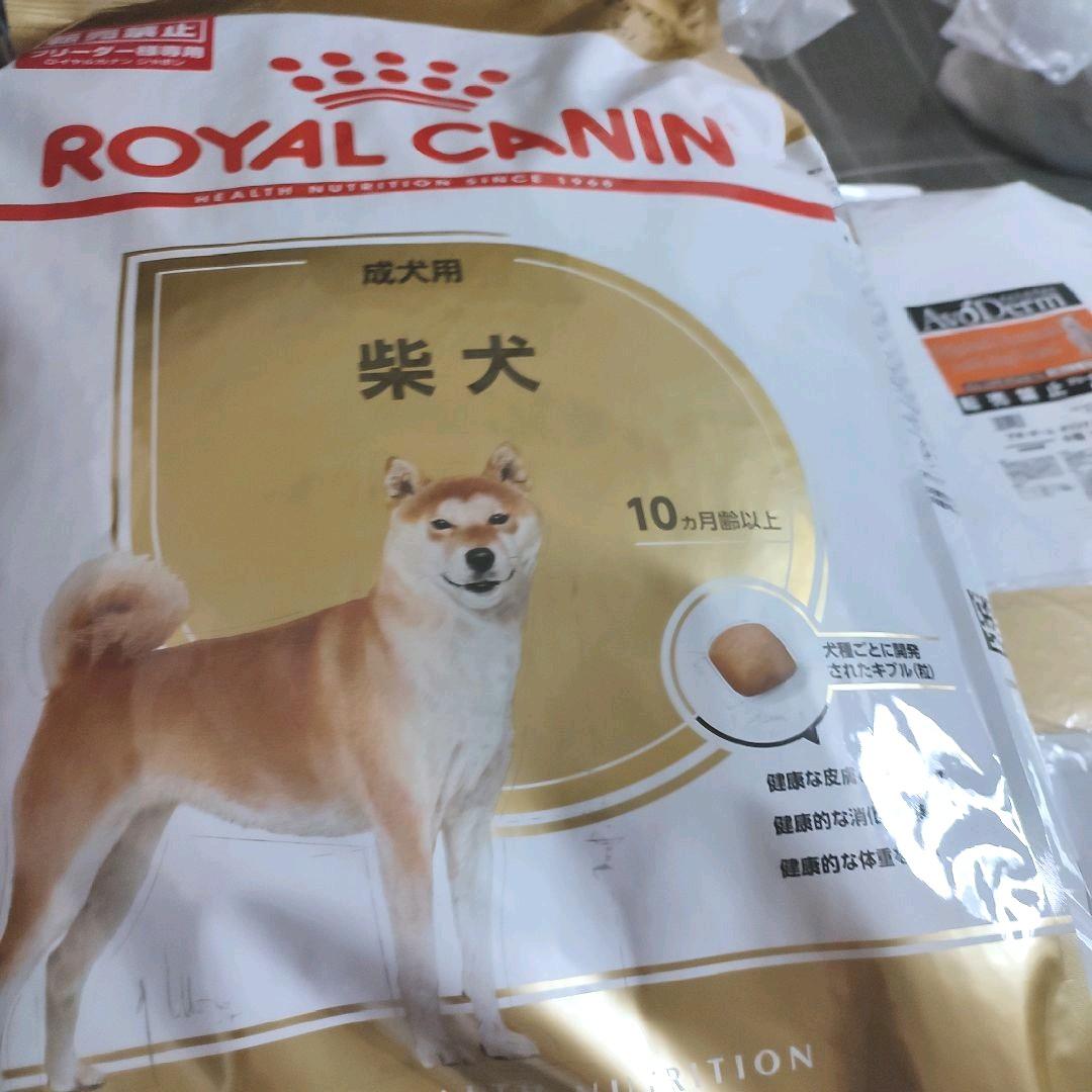 ロイヤルカナン 成犬用 8kg SLEkr-m68543943369 柴犬 豊富な得価 - cta モール ロイヤルカナン 芝犬 成犬用8kg2袋 ペットフード