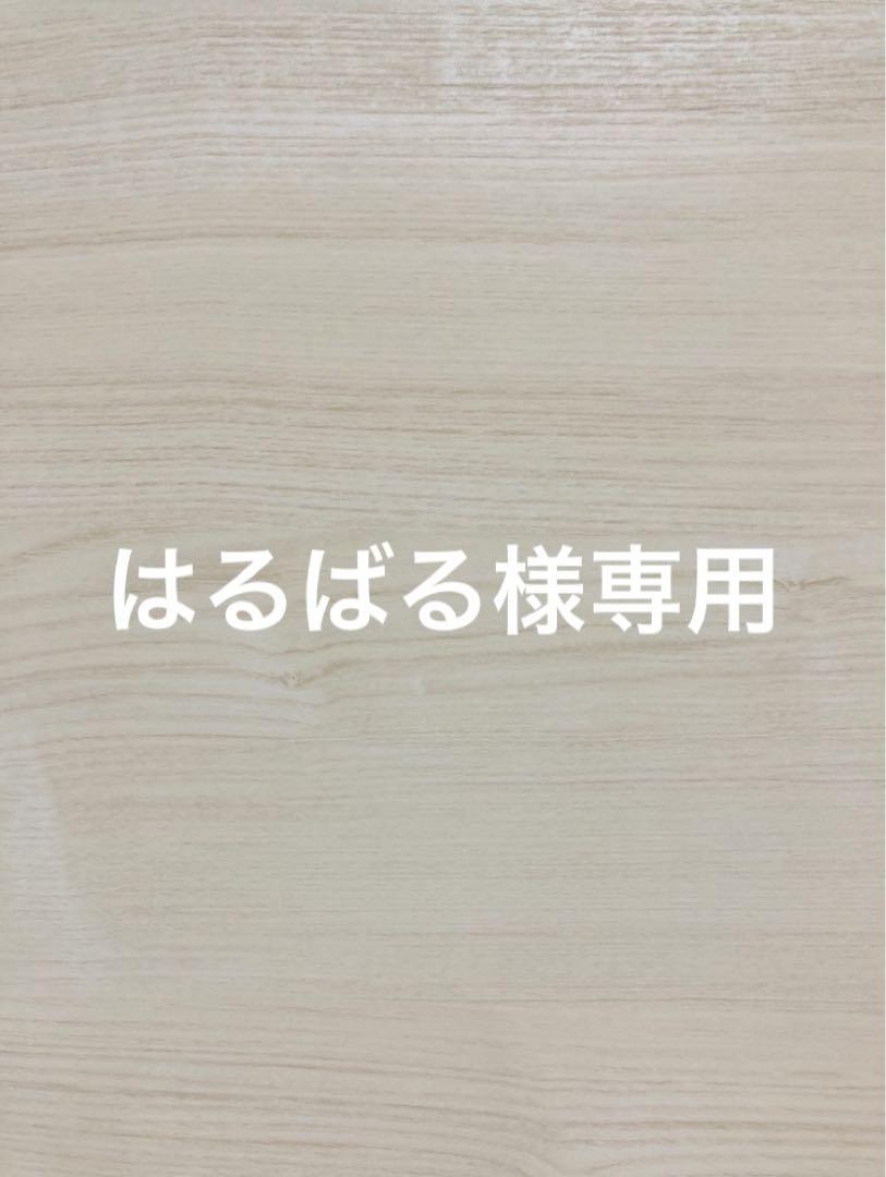はるばる様専用