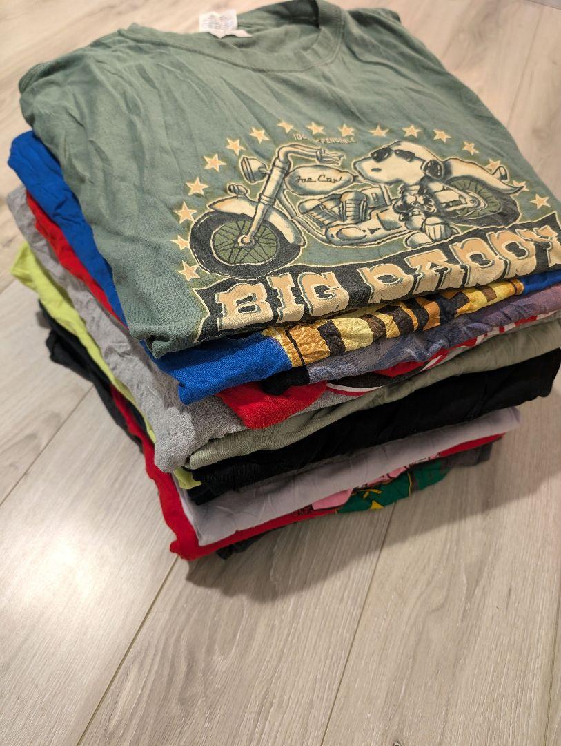 USA Tシャツ26枚セット ギルダン クイックシルバーチャンピオンまとめ売りL