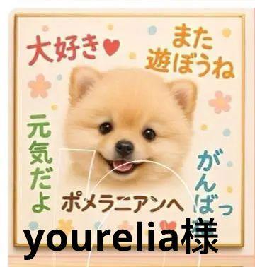 ハンカチ