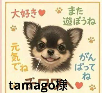 大好き