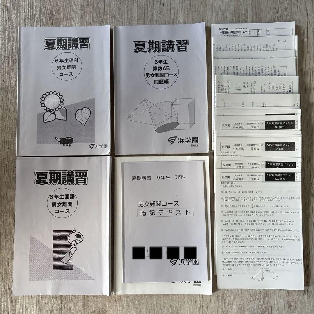 浜学園　国語教材セット 小学3年生 冬期・夏期講習 booksdream-store2_ut02-051