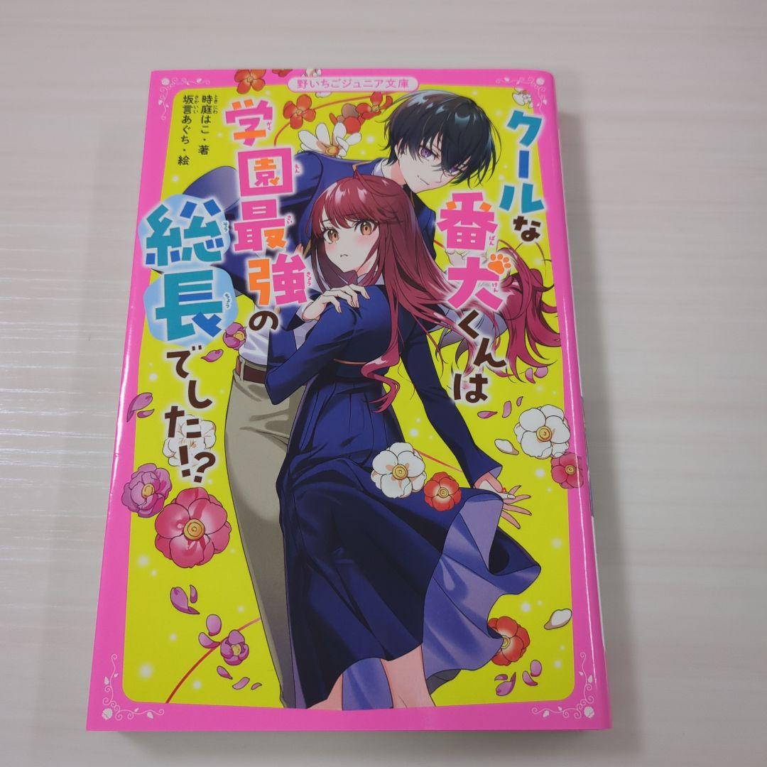 野いちごジュニア文庫 18冊セット あいら他 - メルカリ