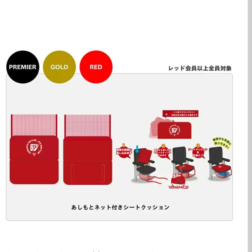 新品未開封】千葉ジェッツ ゴールド会員 会員特典 クッション