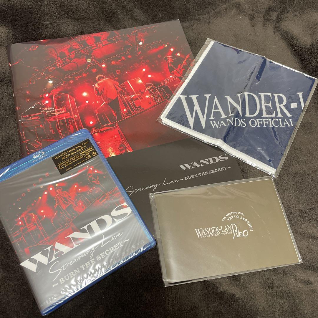 【中古】WANDS5期 ライブフォトブックとチケットホルダー 61lo3DQF9OL._UF350,350_QL50_.jpg