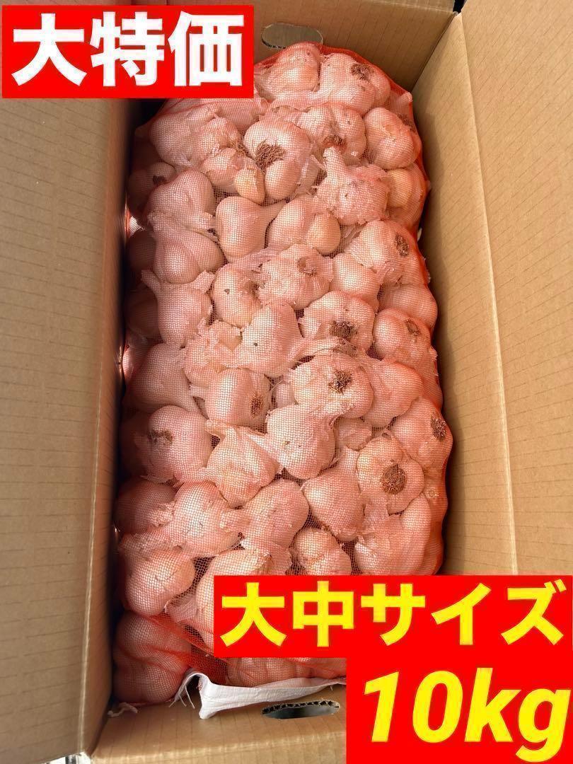 【早い者勝ち】青森県産にんにく 玉 大中サイズ 10kg 福地ホワイト 訳あり