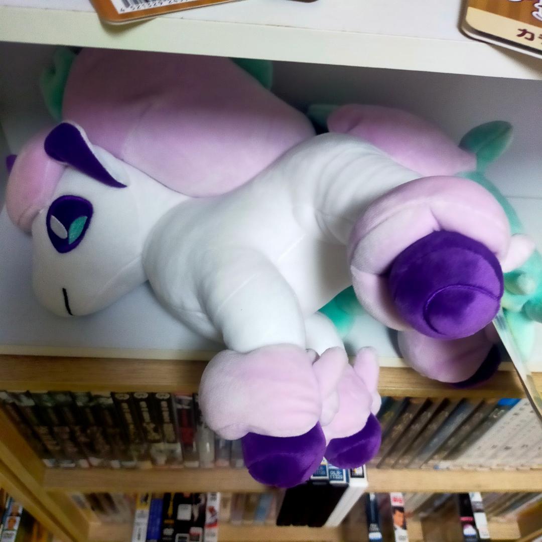 Pokemon stuffed toys 7 bodies　ポケモン7体