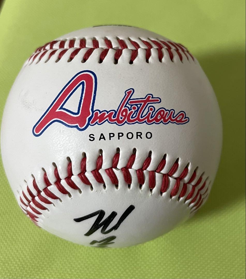 阪神タイガース　優勝グッズ　17点セット