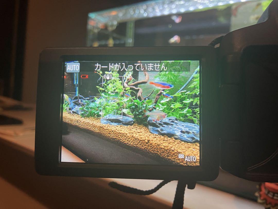 Canon PowerShot SX70HS 本体　(箱、説明書等無)