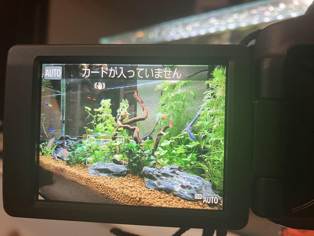 Canon PowerShot SX70HS 本体　(箱、説明書等無)