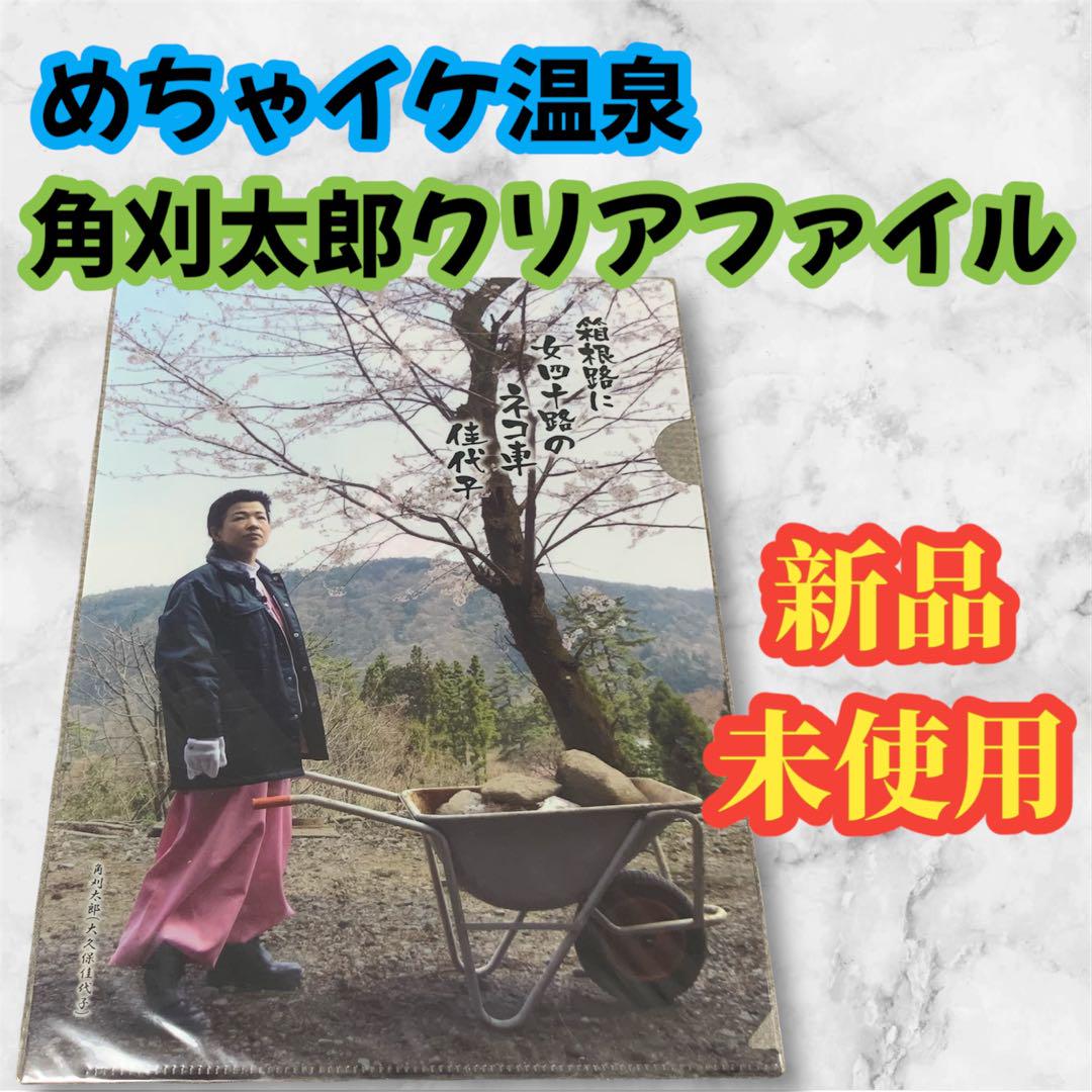 めちゃめちゃイケてるッ！ クリアファイル めちゃイケ チェチェナクリアファイル めちゃ2イケてるッ