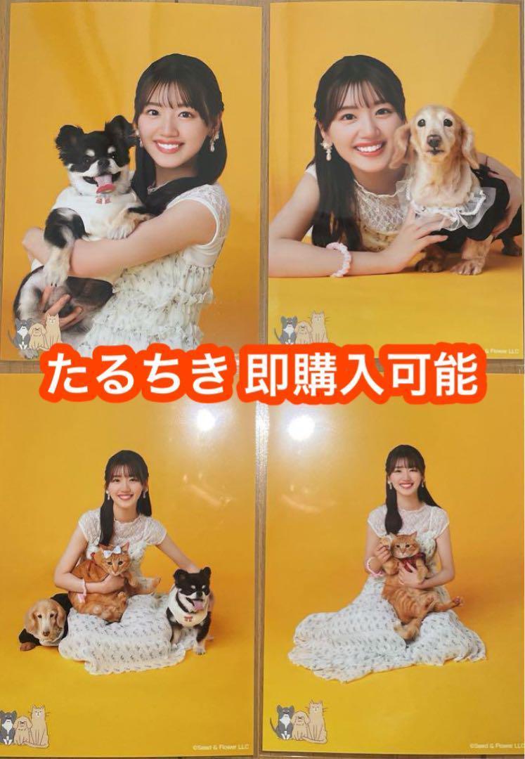 佐々木美玲 日向坂46 過去衣装 シークレット 生写真 4種コンプ