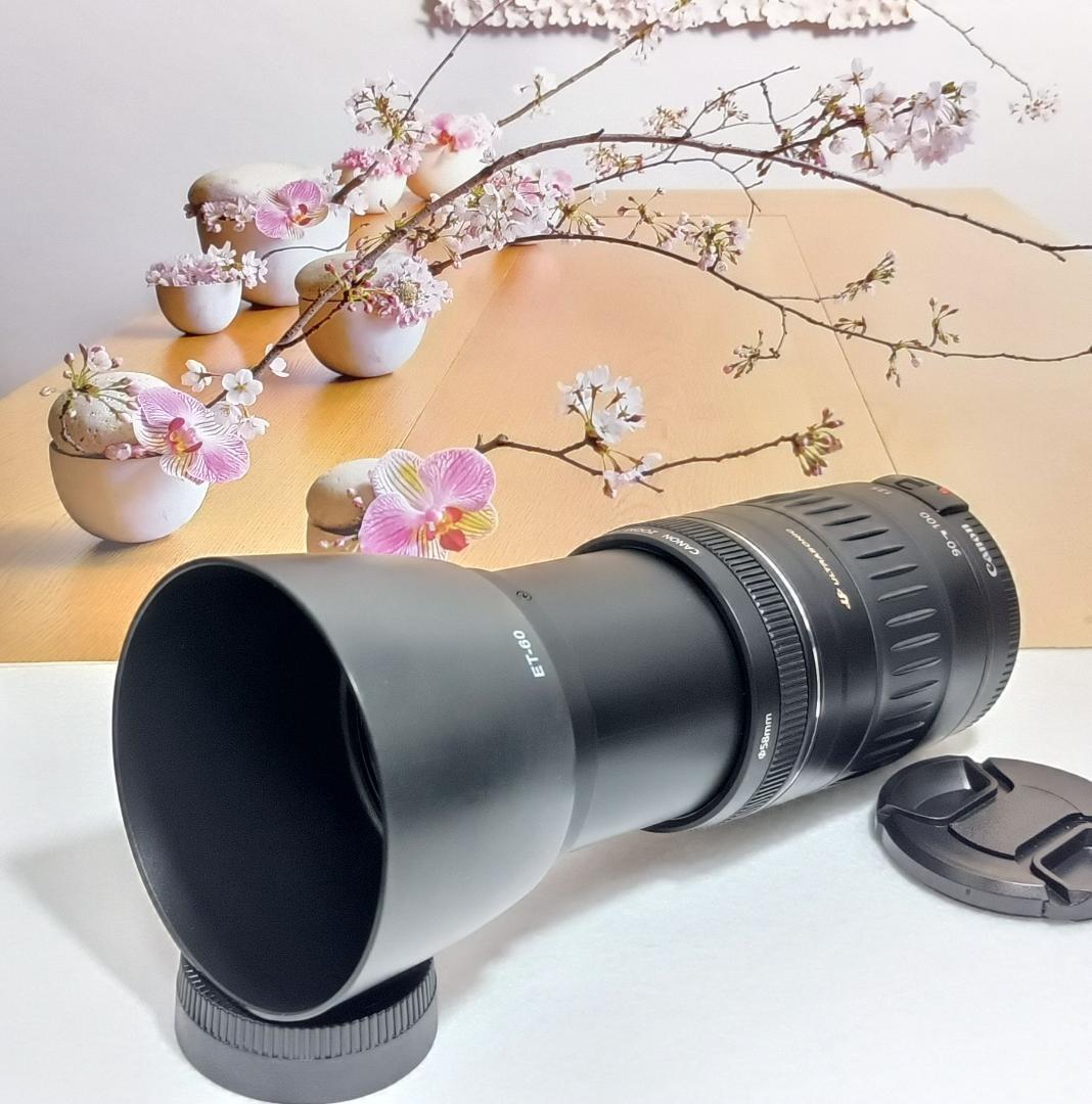 キヤノン Canon EF 75-300mm F/4-5.6 USM手ぶれ補正付 中古】キヤノン Canon マウントアダプター EF-EOS R EOSR対応 EF