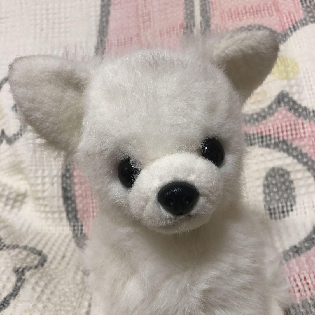 レトロ　チワワ　ぬいぐるみ　中古品　メーカー名不明