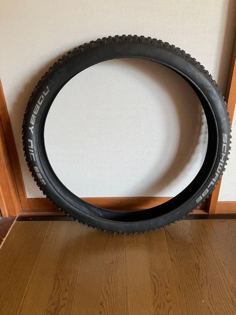 SCHWALBE HANS DAMPEF／NOBBY NIC