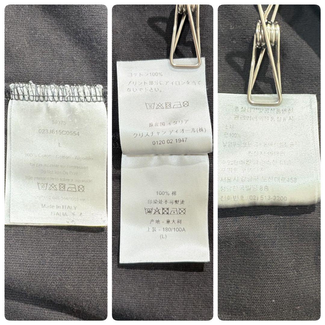【近年モデル】Dior Homme Tシャツ ダニエルアーシャム ロゴ ブラック