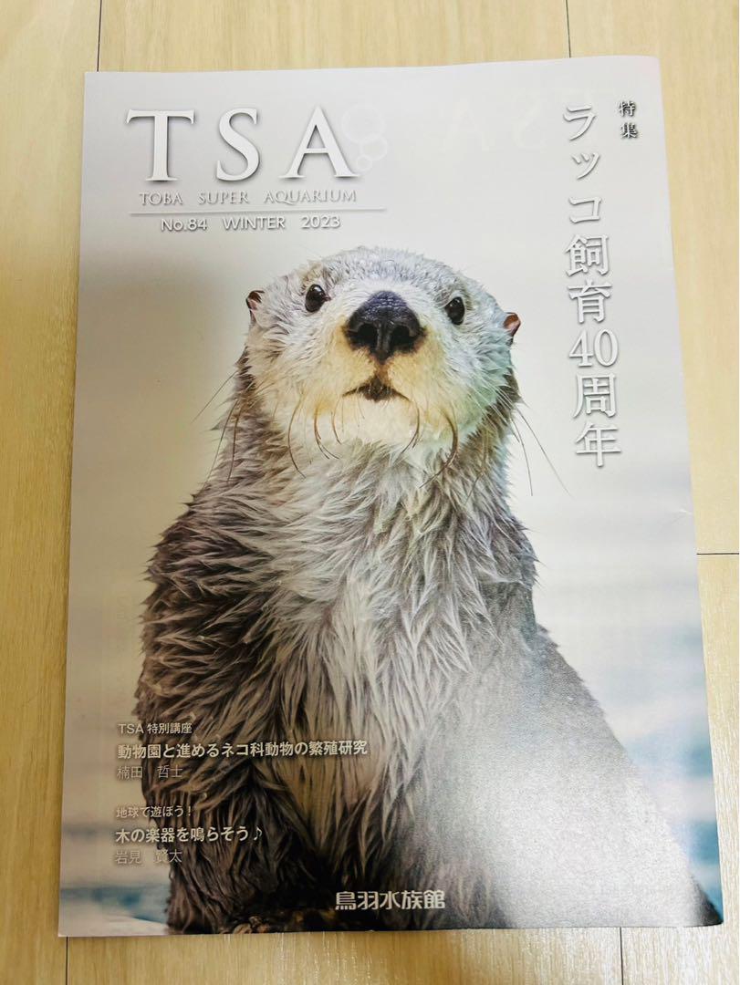 ラッコ 特集 ラッコ飼育40周年　鳥羽水族館 キラ メイ